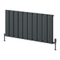 Reina Caldaro Horizontal Aluminium Radiator - 600 x 1245mm - Anthracite - welovecouk
