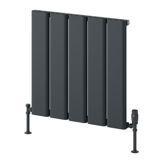  Reina Caldaro Horizontal Aluminium Radiator - 600 x 620mm - Anthracite - welovecouk