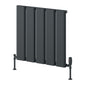Reina Caldaro Horizontal Aluminium Radiator - Anthracite - Various Sizes Available