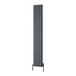 Reina Piatto Vertical Aluminium Radiator - Double / 1800 x 295mm - Anthracite - welovecouk