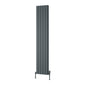 Reina Piatto Vertical Aluminium Radiator - Double / 1800 x 370mm - Anthracite - welovecouk
