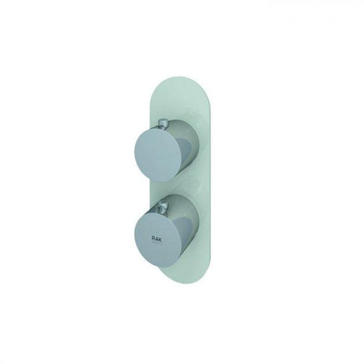  RAK Feeling Thermostatic Round Single Outlet Concealed Shower Valve - welovecouk