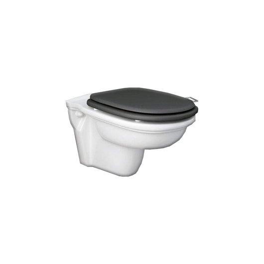  RAK Washington 560mm Wall Hung Toilet - welovecouk