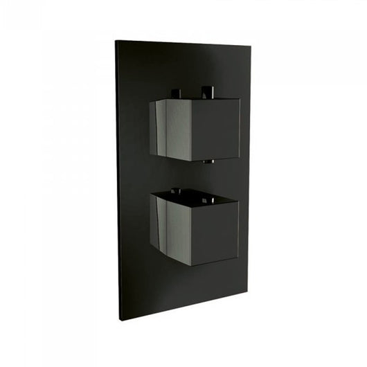  Eclipse Matt Black Square Thermostatic Concealed Shower Valve Dual Handle - welovecouk