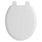 Carlton 520mm Traditional Back to Wall Toilet
