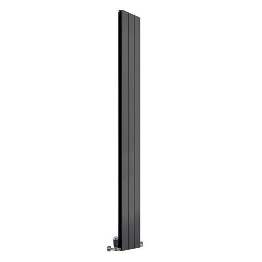  Reina Flat Vertical Mild Steel Double Column Radiator 1800 x 218 - Anthracite - welovecouk