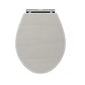 Carlton 520mm Traditional Back to Wall Toilet