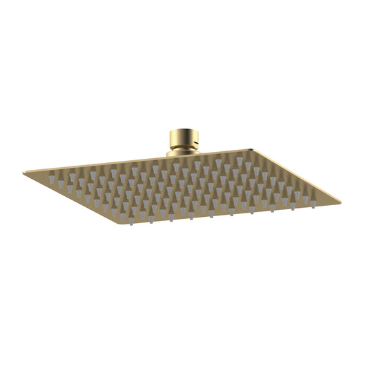  Nuie Fixed Head - Brushed Brass - A8088