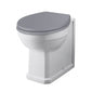 Bayswater Fitzroy Comfort Height Back to Wall Pan