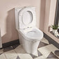 Tavistock Aerial Back to Wall Fully Enclosed Close Coupled WC & Seat