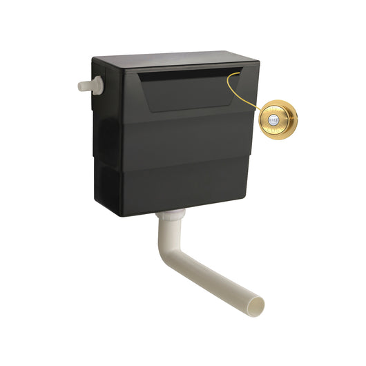  Nuie Universal Access Cistern & Brushed Brass Traditional Flush Plate - Brushed Brass - XTY6T03